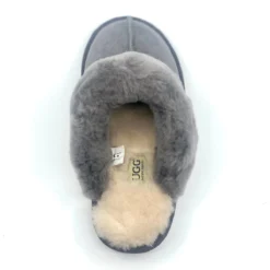UGG Premium Ladies Scuff -Jumbo || PACIFIC Store ugg premium ladies scuff original ugg australia classic 5